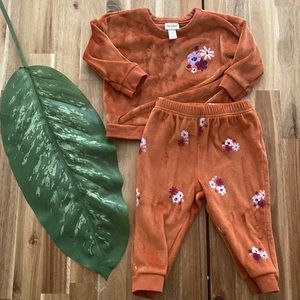 Velour sweater set 6-9 month